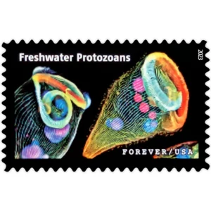 Life Magnified Forever Stamps